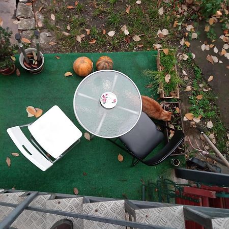 Apartament Cu Un Dormitor Spatios In Centrul Cluj-Napoca Exterior foto