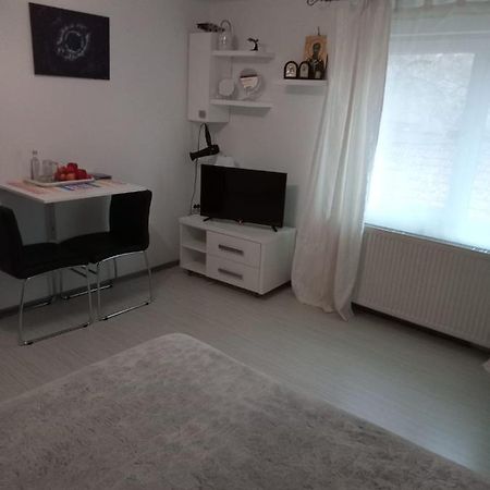 Apartament Cu Un Dormitor Spatios In Centrul Cluj-Napoca Exterior foto