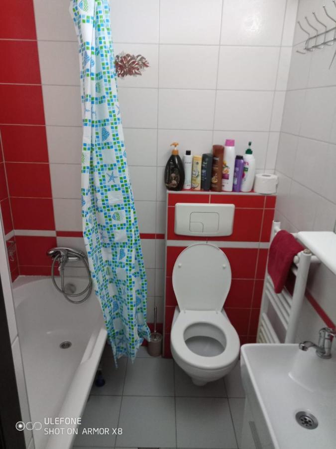 Apartament Cu Un Dormitor Spatios In Centrul Cluj-Napoca Exterior foto