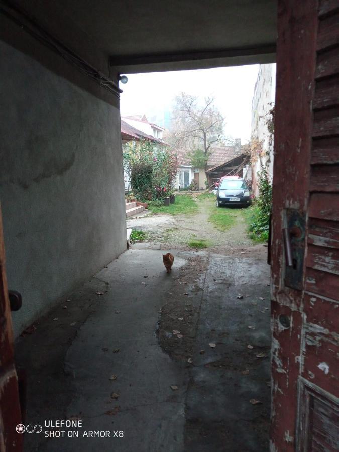 Apartament Cu Un Dormitor Spatios In Centrul Cluj-Napoca Exterior foto