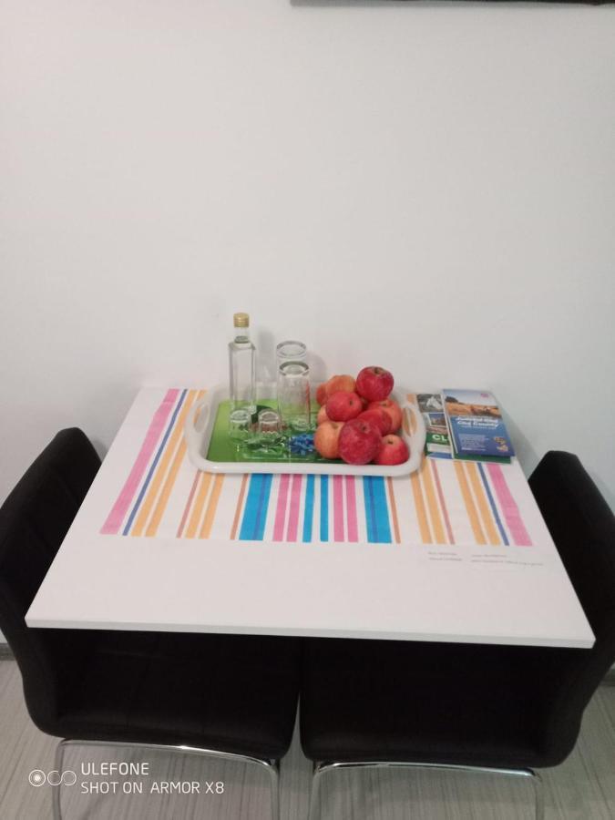 Apartament Cu Un Dormitor Spatios In Centrul Cluj-Napoca Exterior foto
