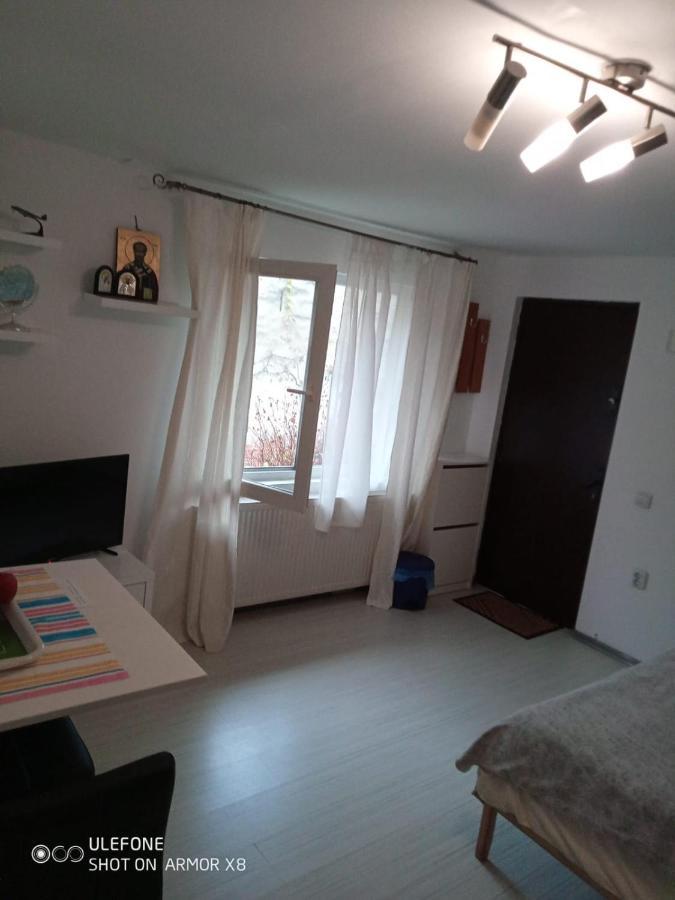 Apartament Cu Un Dormitor Spatios In Centrul Cluj-Napoca Exterior foto