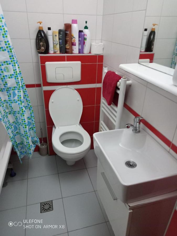 Apartament Cu Un Dormitor Spatios In Centrul Cluj-Napoca Exterior foto